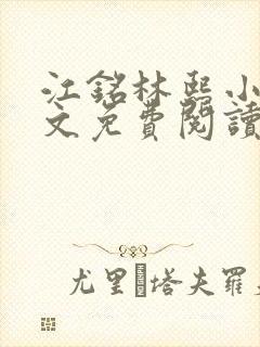 江铭林熙小说全文免费阅读