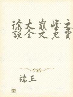 徐大巅峰之路小说全文免费阅读