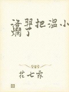 洛羿把温小辉做烂了