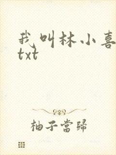 我叫林小喜小说txt