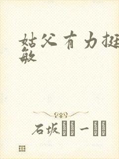 姑父有力挺送赵敏