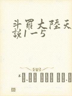 斗罗大陆天狂传说1一5