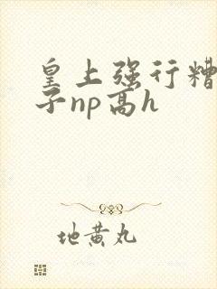 皇上强行糟蹋太子np高h