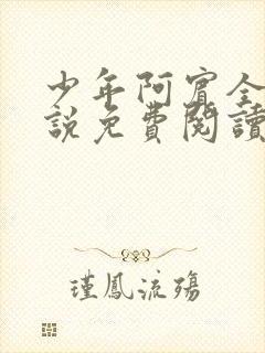 少年阿宾全文小说免费阅读笔趣阁