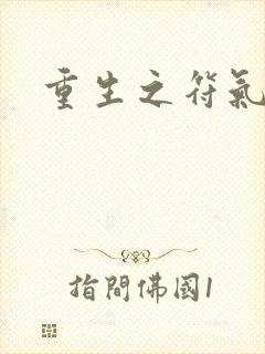 重生之符气冲天