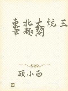 东北大炕三部曲笔趣阁