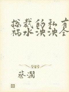 总裁的私有宝贝祸水泱泱全文阅读