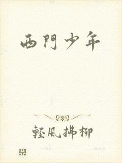 西门少年