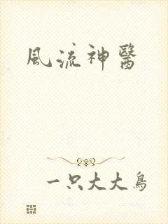 风流神医