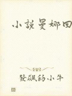 小说曼娜回忆录