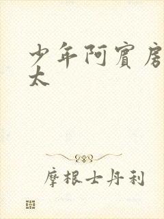 少年阿宾房东太太