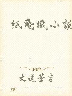 纸飞机小说