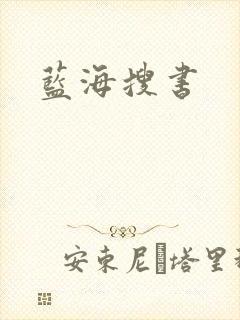 蓝海搜书