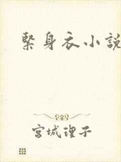 紧身衣小说