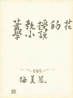 萧教授的花式教学小说