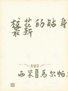 校花的贴身高手最新