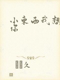 小东西我想弄坏你