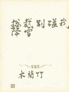 总裁别碰我 韩降雪