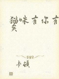 猫咪有你有我足矣