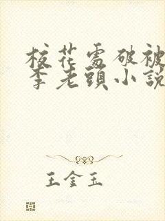 校花处破被灌满李老头小说