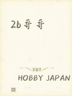2b哥哥