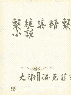 系统集精系统 小说