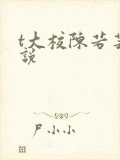 t大校陈若芸小说