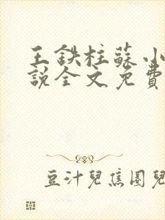 王铁柱苏小汐小说全文免费阅读最新章节