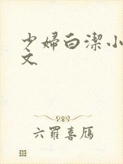 少妇白洁小说全文