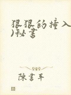 狠狠的撞入(h)秘书