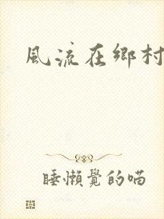 风流在乡村