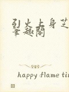 引火上身芝麻糖笔趣阁