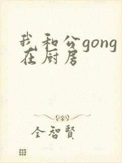 我和公gong在厨房