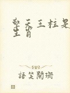 擎天玉柱是什么生肖