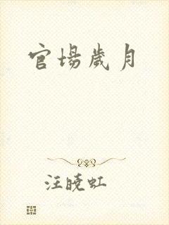 官场岁月