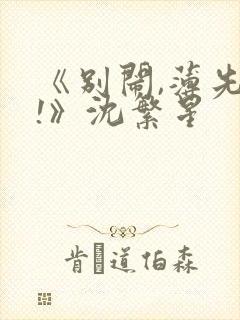 《别闹,薄先生!》沈繁星