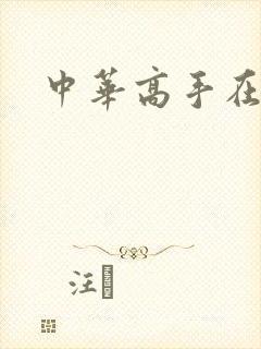 中华高手在异世