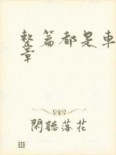 整篇都是车的文章