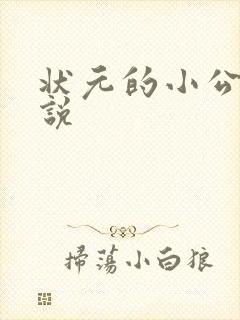 状元的小公主小说