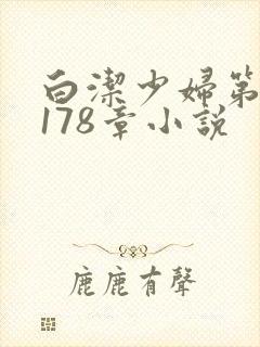 白洁少妇第1一178章小说