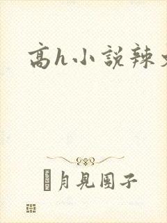 高h小说辣文