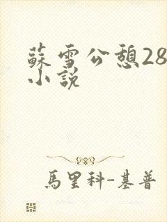 苏雪公憩28篇小说