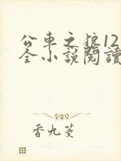 公车之狼12集全小说阅读