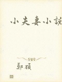 小夫妻小说