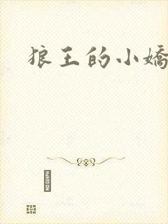狼王的小娇妻