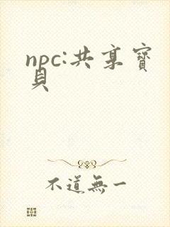 npc:共享宝贝