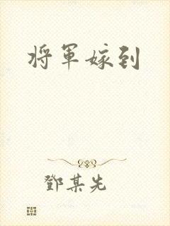 将军嫁到