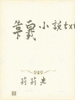 告白小说txt下载