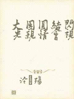 大团圆结闪闪发光亲情会视频