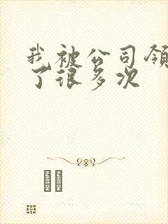 我被公司领导C了很多次